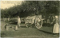 Divers. Scènes de la Vie Normande. - Visite à la Ferme : Mesurage des pommes.