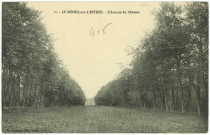 Mesnil-sur-l'Estrée (Le). L'Avenue du Château.