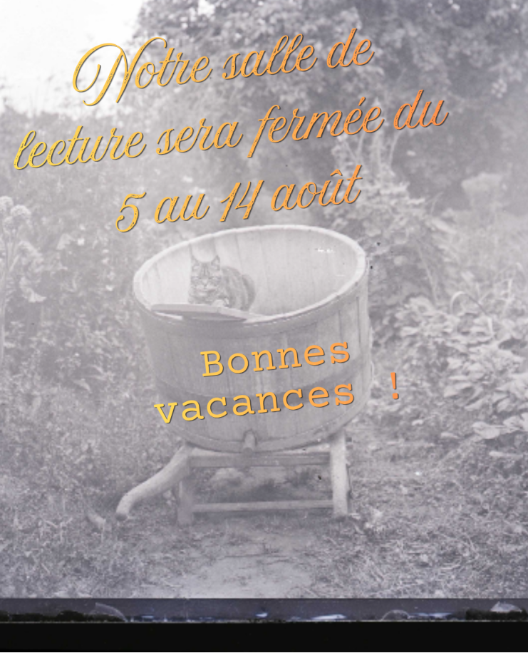 Photographie, chat se reposant au bord d'un baquet. fonds Bretocq