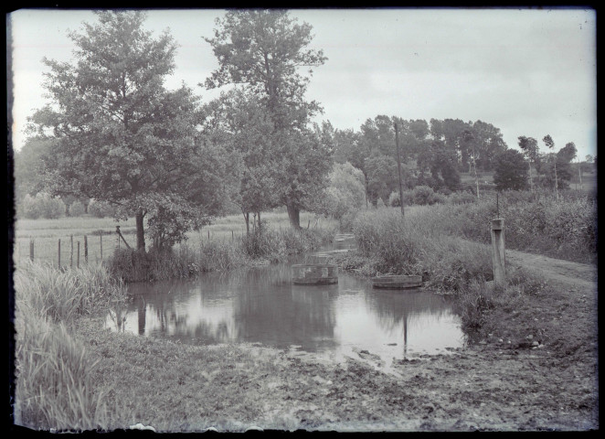 Abreuvoir dans la campagne.