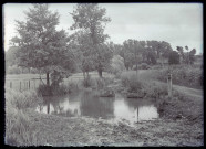 Abreuvoir dans la campagne.