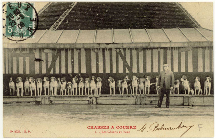 Beaumont-le-Roger. Chasses à courre -Les Chiens au banc.
