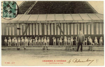 Beaumont-le-Roger. Chasses à courre -Les Chiens au banc.