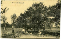 Divers. La Normandie illustrée. - La récolte des Pommes.
