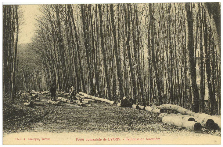 Lyons-la-Forêt. Forêt domaniale de Lyons. - Exploitation forestière.