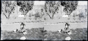 Chiens de l'abbé Bretocq dans le jardin du presbytère de Rosay-sur-Lieure (Eure).