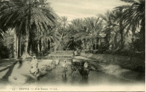 NEFTA - A la Source