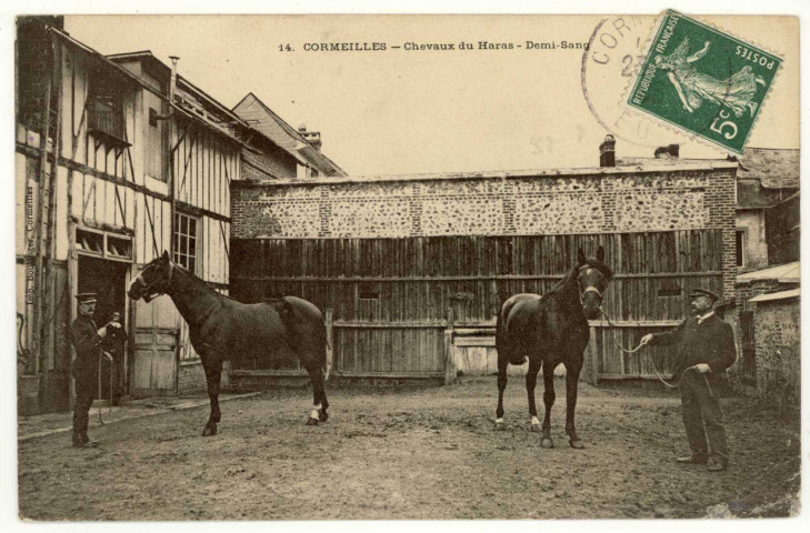 Cormeilles. Chevaux du Haras-Demi-Sang.