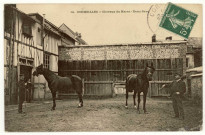 Cormeilles. Chevaux du Haras-Demi-Sang.