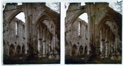 Ruines de l'abbaye de d'Hambye à Percy (Manche).
