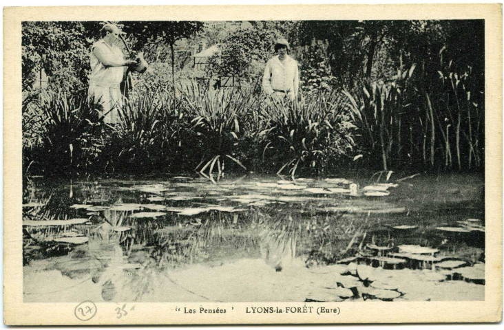 Lyons-la-Forêt. Les Pensées.
