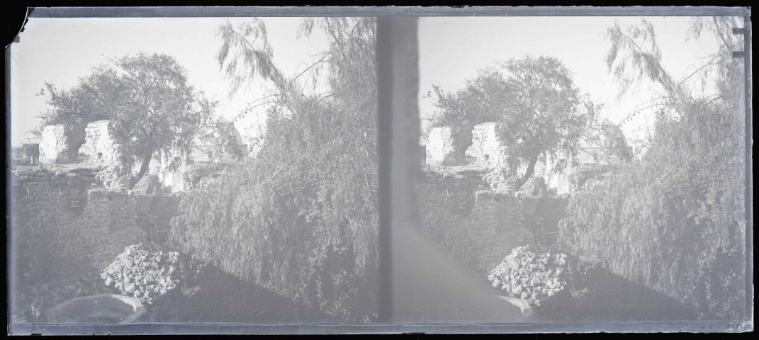 Jardin et ruines de la mosquée Al-Majdal à Ascalon (Israël).
