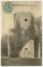 Louye. Environ de Nonancourt - Château de Louye - Vieille Tour.