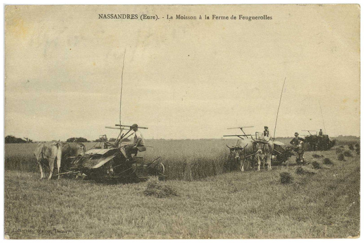 Nassandres. La Moisson à la Ferme de Feuguerolles.