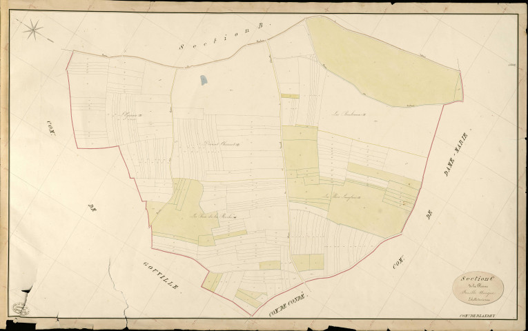 Blandey. Section C _ de la Plaine _ Feuille Unique