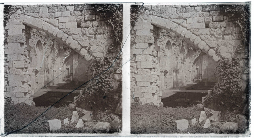 Ruines de l'abbaye de d'Hambye à Percy (Manche).