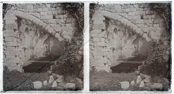 Ruines de l'abbaye de d'Hambye à Percy (Manche).