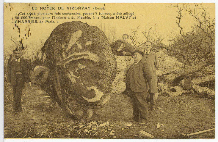Vironvay. Le Noyer de Vironvay. Cet arbre plusieurs fois centenaire, pesant 7 tonnes, a été adjugé 50 000 francs, pour l'industrie du Meuble, à la Maison Malvy et Chabrier de Paris.