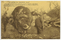 Vironvay. Le Noyer de Vironvay. Cet arbre plusieurs fois centenaire, pesant 7 tonnes, a été adjugé 50 000 francs, pour l'industrie du Meuble, à la Maison Malvy et Chabrier de Paris.
