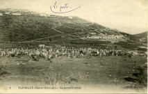 TAFORALT (Maroc Oriental). - Le marché arabe