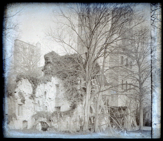 Tour des ruines et vestiges de l'abbaye de Jumièges (Seine-Maritime).