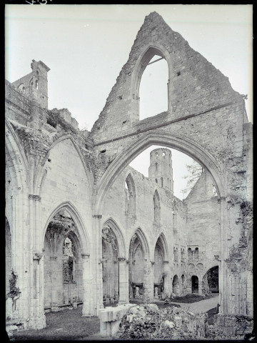 Tour et pignons des ruines et vestiges de l'abbaye de Jumièges (Seine-Maritime).