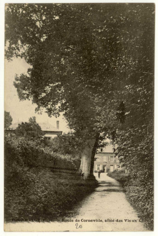 Fourmetot. Route de Corneville, allée des Vieux Chênes.