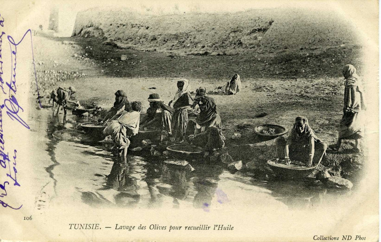 TUNISIE. - Lavage des Olives pour recueillir l'Huile