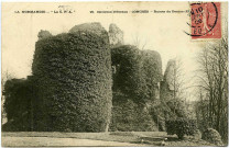 Conches-en-Ouche. Ruines du Donjon XIe siècle.