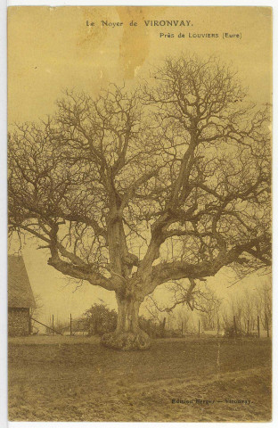 Vironvay. Le Noyer de Vironvay, près de Louviers.