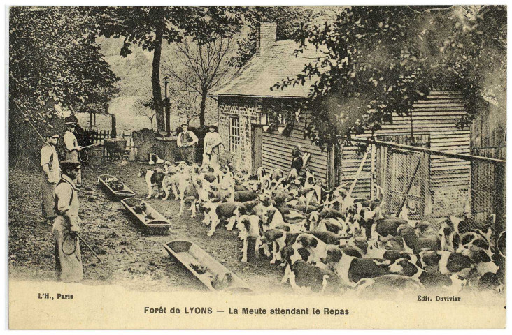 Lyons-la-Forêt. La Meute attendant le Repas.