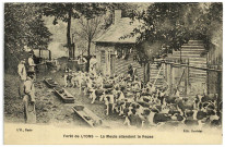 Lyons-la-Forêt. La Meute attendant le Repas.