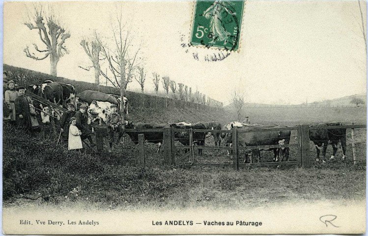 Andelys (Les). Vaches au Pâturage.
