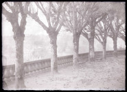 Promenade en haut des remparts de Fougères (Ille-et-Vilaine), avec au loin le clocher de l'église Saint-Sulpice.