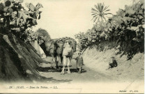 SFAX. - Dans les Tabias