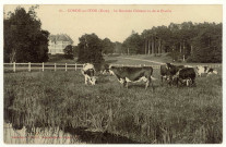 Condé-sur-Iton. Le Nouveau Château vu de la Prairie.