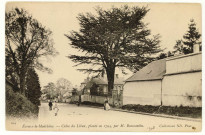 Evreux-Ville. La Madeleine : Cèdre du Liban - Planté en 1794 par Mr Beaucantin.