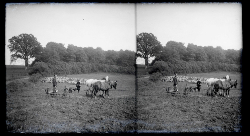 Paysans et chevaux à la charrue dans la campagne de Rosay-sur-Lieure (Eure).