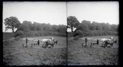 Paysans et chevaux à la charrue dans la campagne de Rosay-sur-Lieure (Eure).