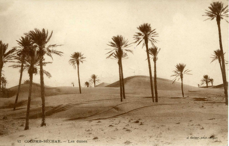 COLOMB-BÉCHAR. - Les dunes