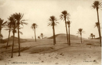 COLOMB-BÉCHAR. - Les dunes