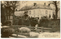 Evreux-Ville. La Foire Saint-Nicolas - Marché aux petits Cochons.