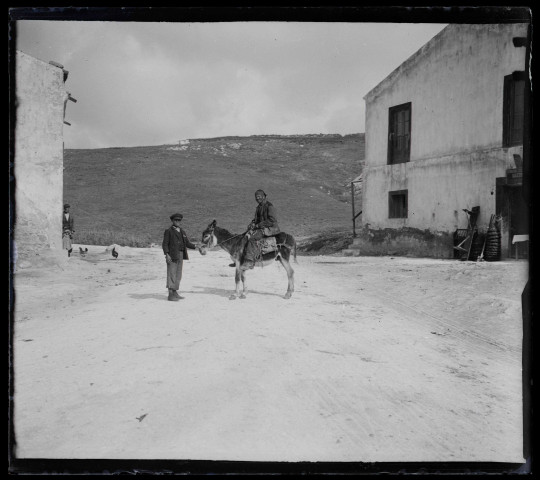 Cavalier sur sa monture dans la campagne sicilienne.