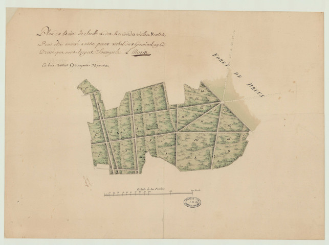 Sorel (Eure-Et-Loir) - "Plan du bois de Sorel…". *