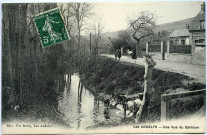 Andelys (Les). Une Vue du Gambon.