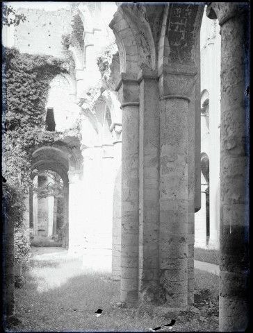 Ruines et vestiges de l'abbaye de Jumièges (Seine-Maritime).