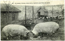 Vernon-Ville. En Bombe à Vernon, viens nous y rejoindre pour faire une partie.