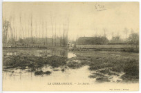 Sainte-Colombe-la-Campagne. Les Mares.