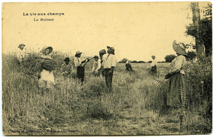 Divers. La vie aux champs. - La Moisson.