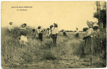 Divers. La vie aux champs. - La Moisson.